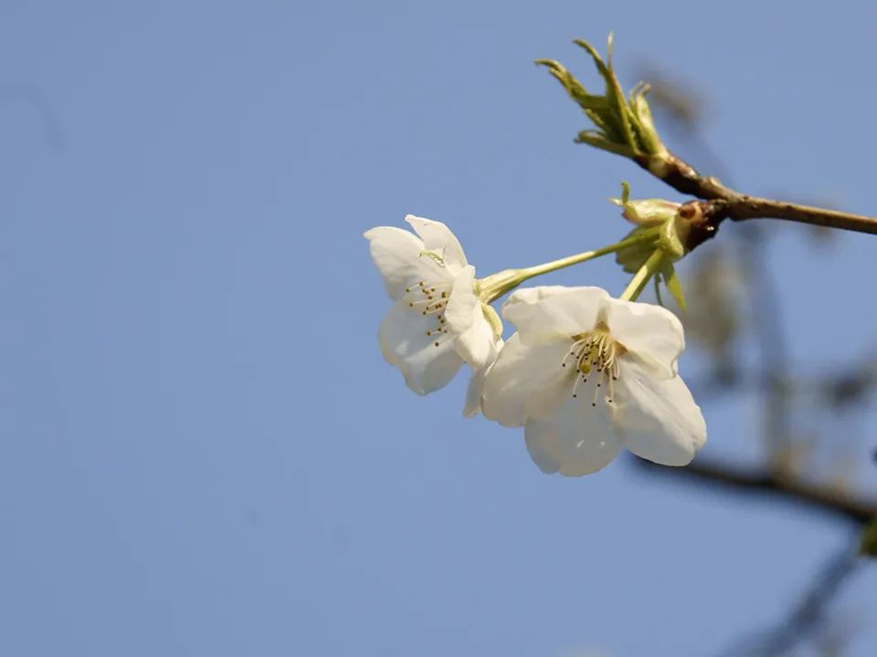 微信图片_20230225135044