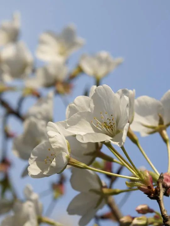 微信图片_20230225135037