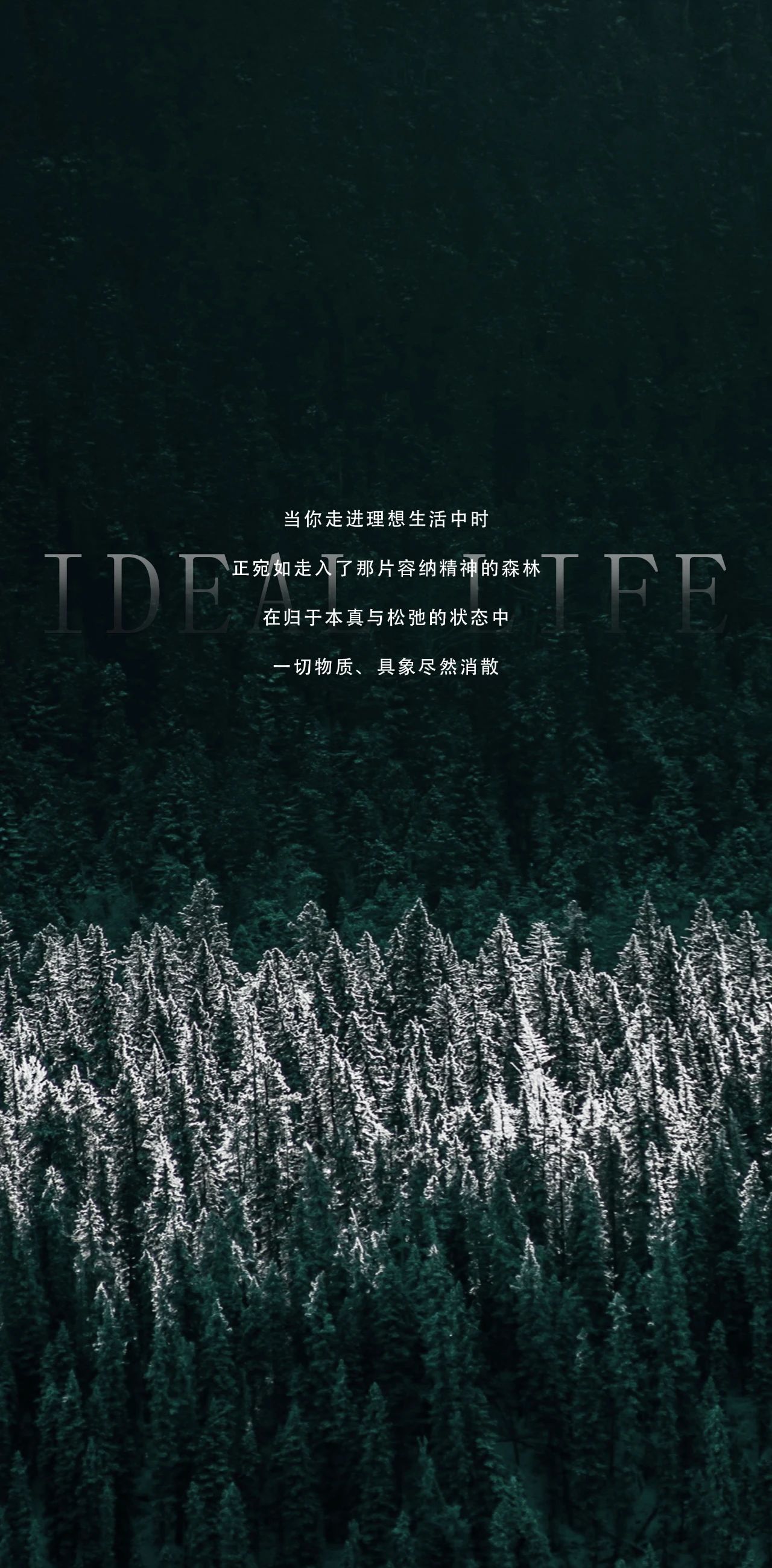 微信图片_20231002093720